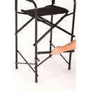 Director's Chair