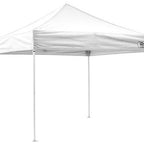 Recreational steel (TL2) 10x10 Canopy