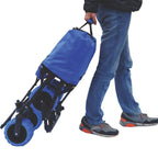 Terrain tout-terrain pliant Chariot de plage pliable - Taille standard