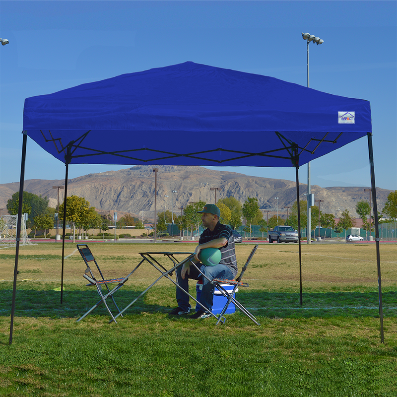 10x10 Gazebo Canopy Tent HW